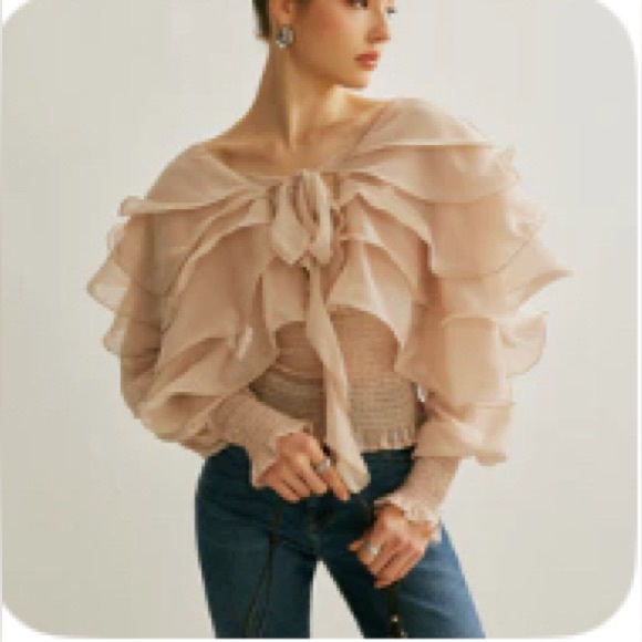Commense Blush Ruffled Blouse - Picture 1 of 7